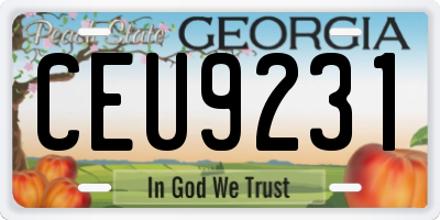 GA license plate CEU9231