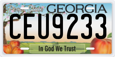 GA license plate CEU9233