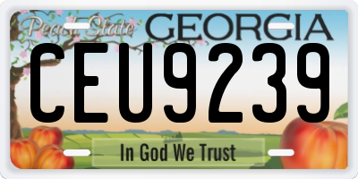 GA license plate CEU9239
