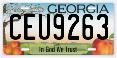 GA license plate CEU9263