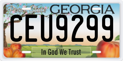 GA license plate CEU9299