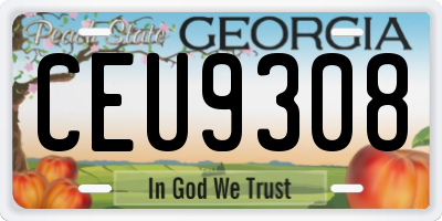GA license plate CEU9308