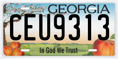 GA license plate CEU9313