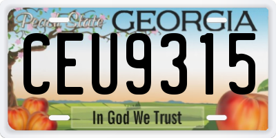 GA license plate CEU9315