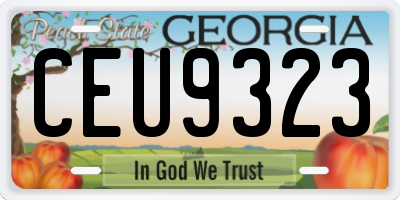 GA license plate CEU9323