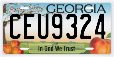 GA license plate CEU9324