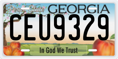 GA license plate CEU9329