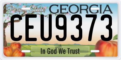 GA license plate CEU9373
