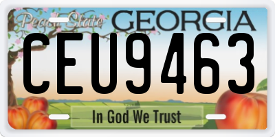 GA license plate CEU9463