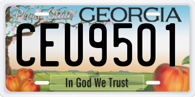 GA license plate CEU9501