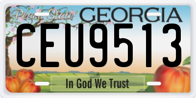 GA license plate CEU9513