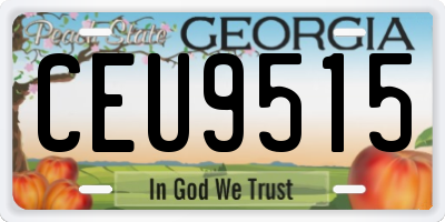GA license plate CEU9515