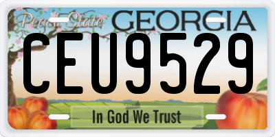 GA license plate CEU9529