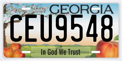 GA license plate CEU9548