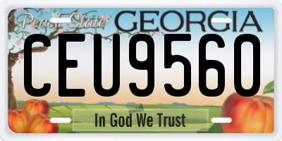 GA license plate CEU9560