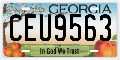 GA license plate CEU9563