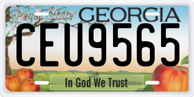 GA license plate CEU9565