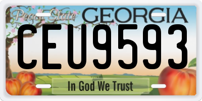 GA license plate CEU9593