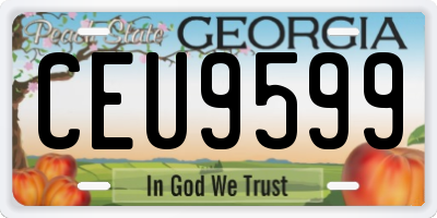 GA license plate CEU9599