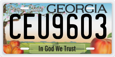 GA license plate CEU9603