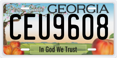 GA license plate CEU9608