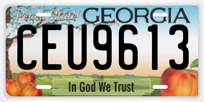 GA license plate CEU9613