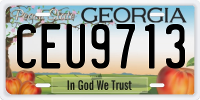 GA license plate CEU9713