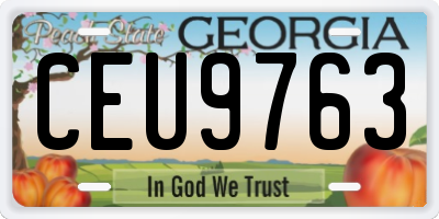 GA license plate CEU9763