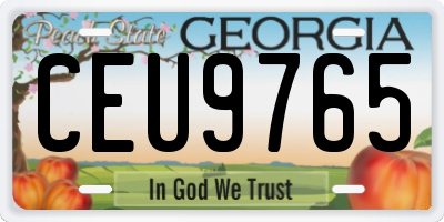 GA license plate CEU9765