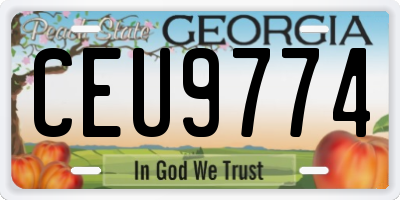 GA license plate CEU9774