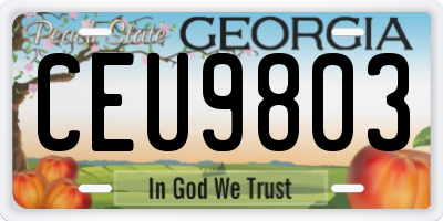 GA license plate CEU9803