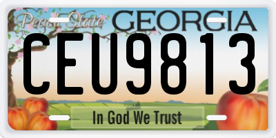 GA license plate CEU9813