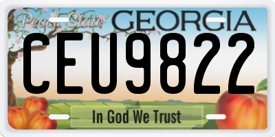 GA license plate CEU9822