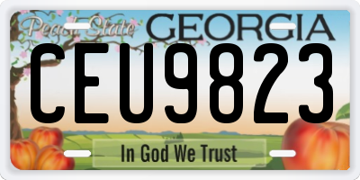 GA license plate CEU9823