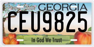 GA license plate CEU9825