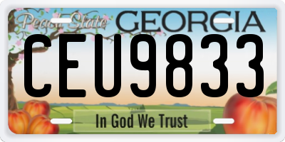 GA license plate CEU9833