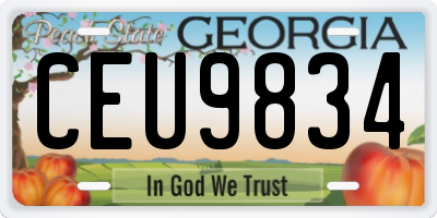 GA license plate CEU9834