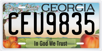 GA license plate CEU9835