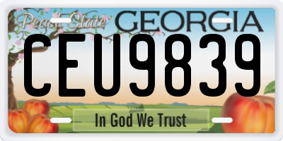 GA license plate CEU9839