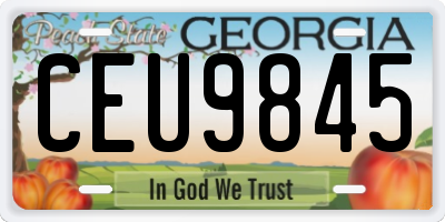 GA license plate CEU9845