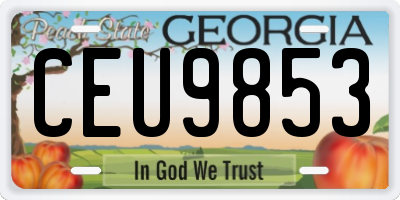 GA license plate CEU9853
