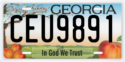 GA license plate CEU9891