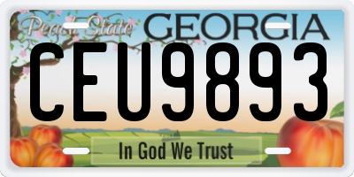 GA license plate CEU9893