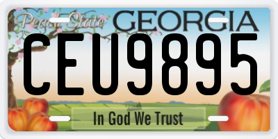 GA license plate CEU9895