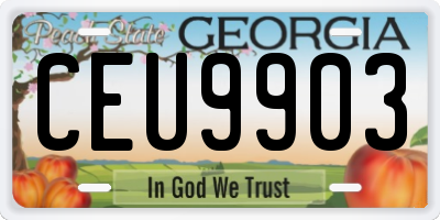 GA license plate CEU9903