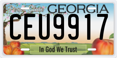 GA license plate CEU9917