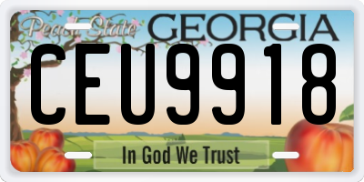 GA license plate CEU9918