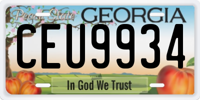 GA license plate CEU9934