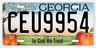 GA license plate CEU9954