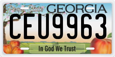 GA license plate CEU9963